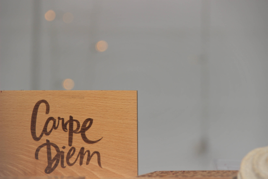 Carpe Diem (Seize the Day) Wooden Sign Wall Art