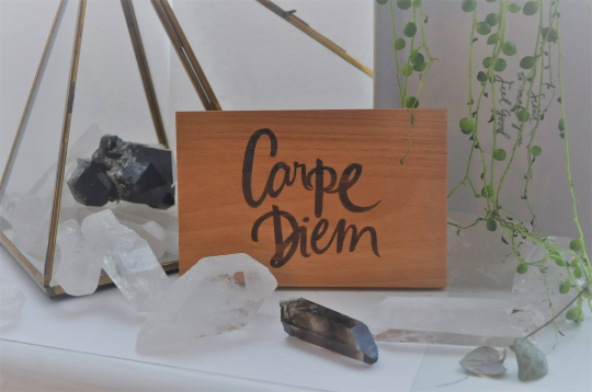 Carpe Diem (Seize the Day) Wooden Sign Wall Art