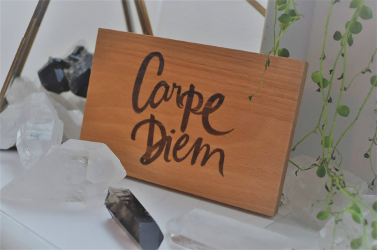 Carpe Diem (Seize the Day) Wooden Sign Wall Art